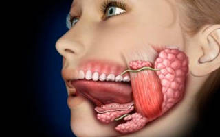 Воспаление слюнной железы под языком