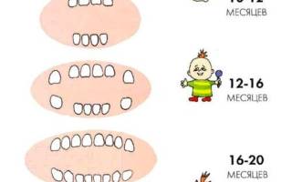 Форма зубов у детей