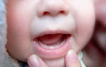Когда у ребенка вылезает первый зуб